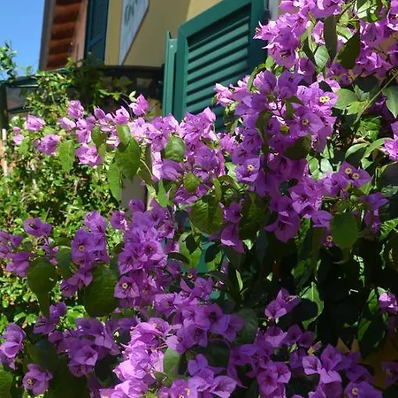 La Meridiana *