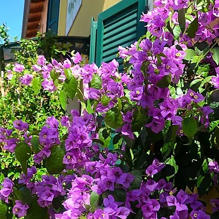 La Meridiana 3* Colorno